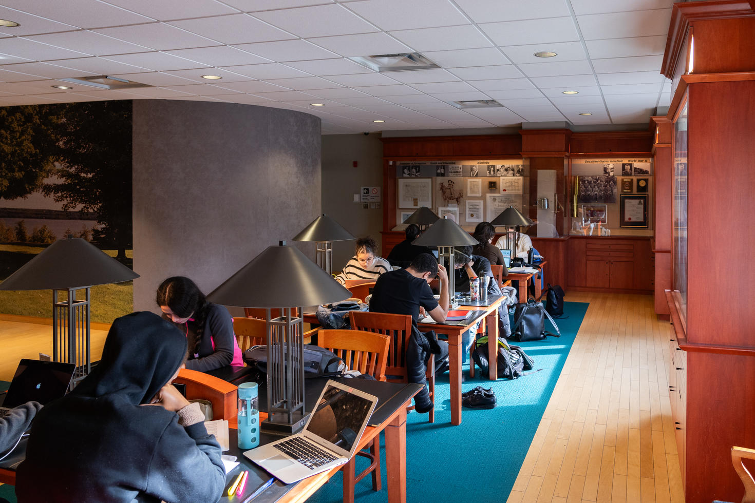 Students studying at Brian Dickson Library