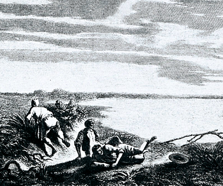 « An allegory of malaria (after Maurice Sand) »