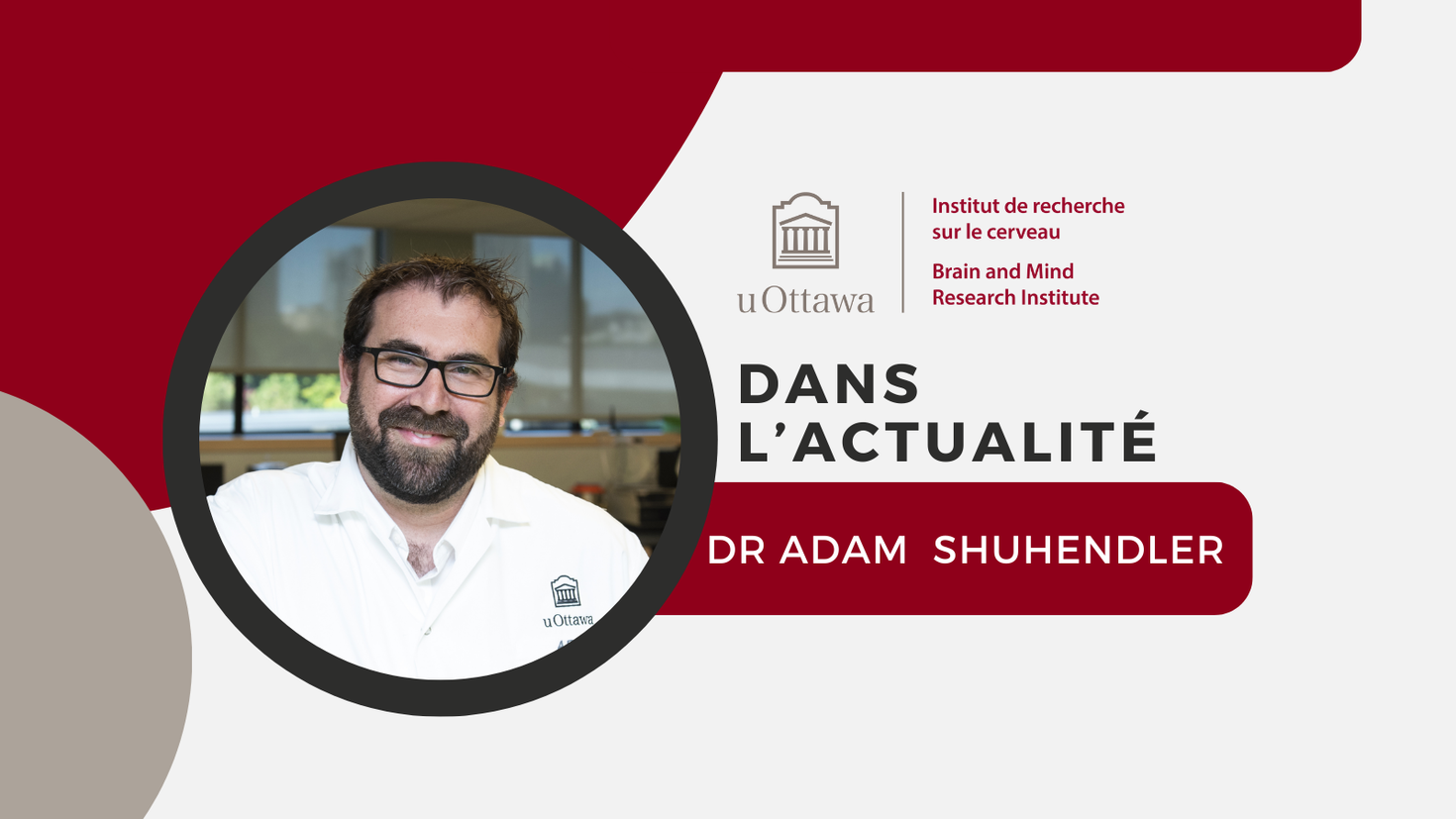 Bannière d'article - Dr Adam Shuhendler.