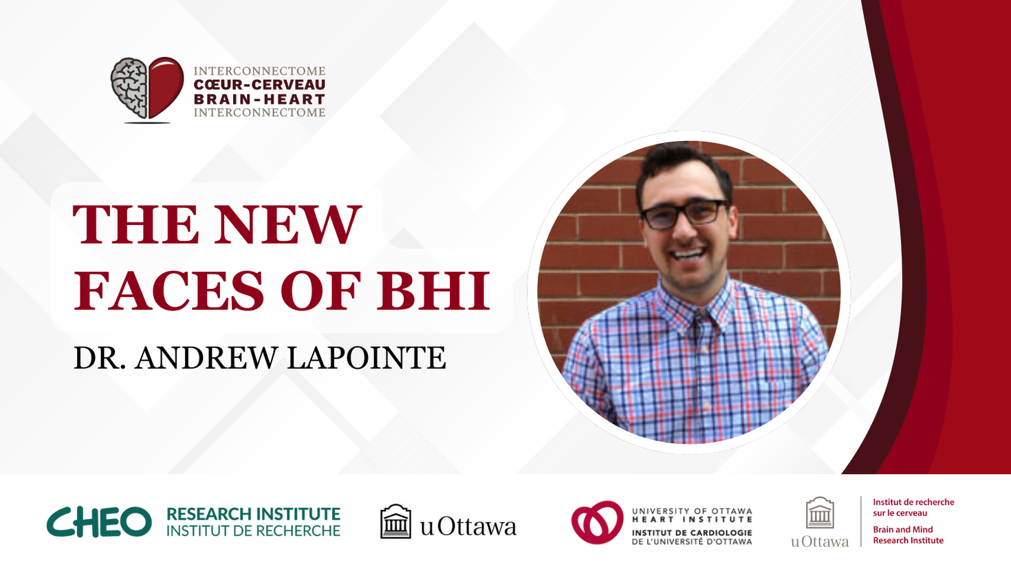 Andrew Lapointe