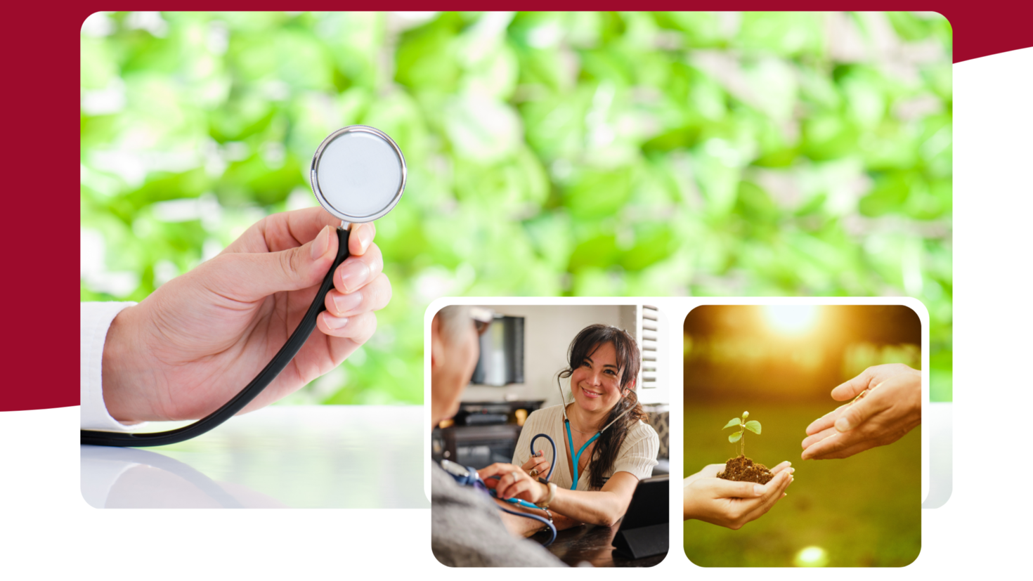 Planetary Health conference collage