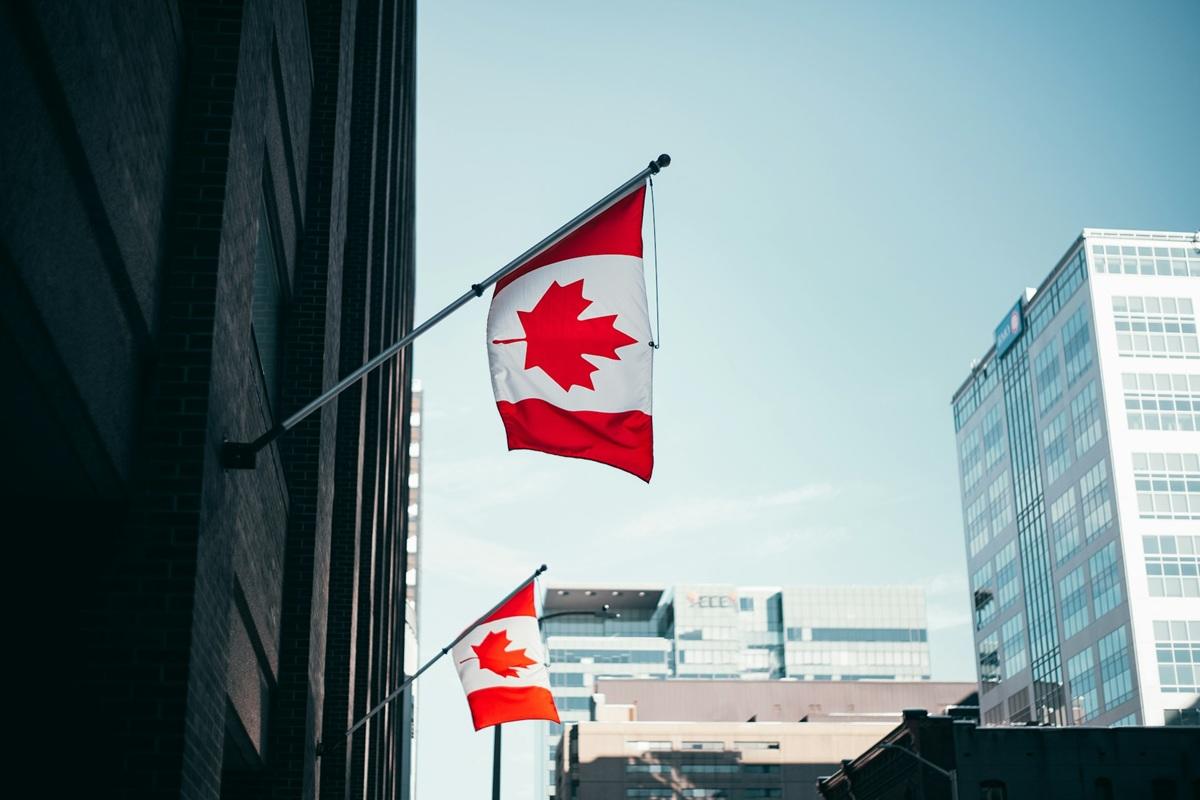 Canadian flags hanging from a building