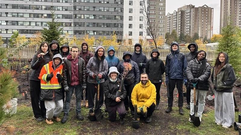 Tiny Forest planting group