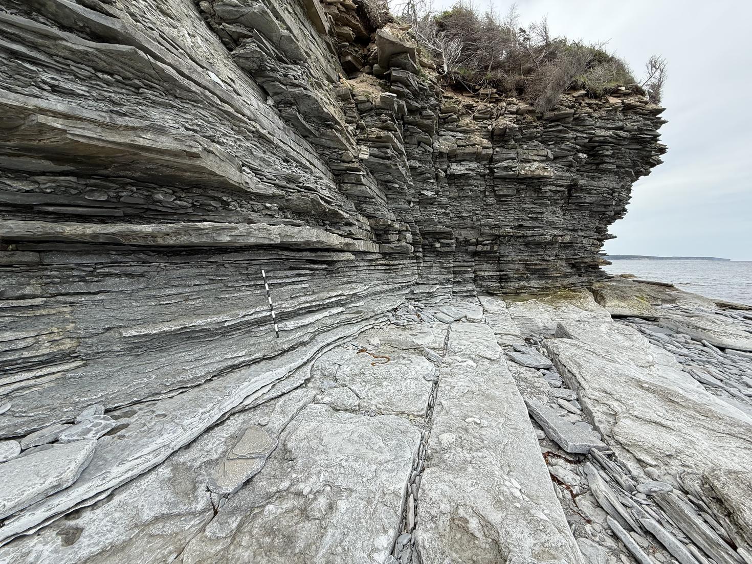 Ordovician-Silurian boundary at the east end of Anticosti Island - Photo: André Desrochers