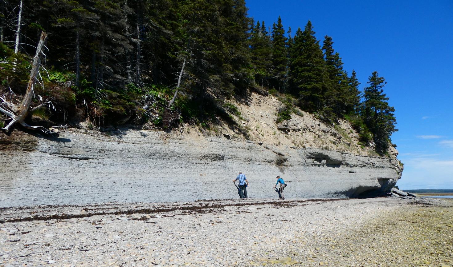 Sampling the Ordovician-Silurian boundary at Gamache Bay, Eastern Anticosti Island – Photo credit: André Desrochers