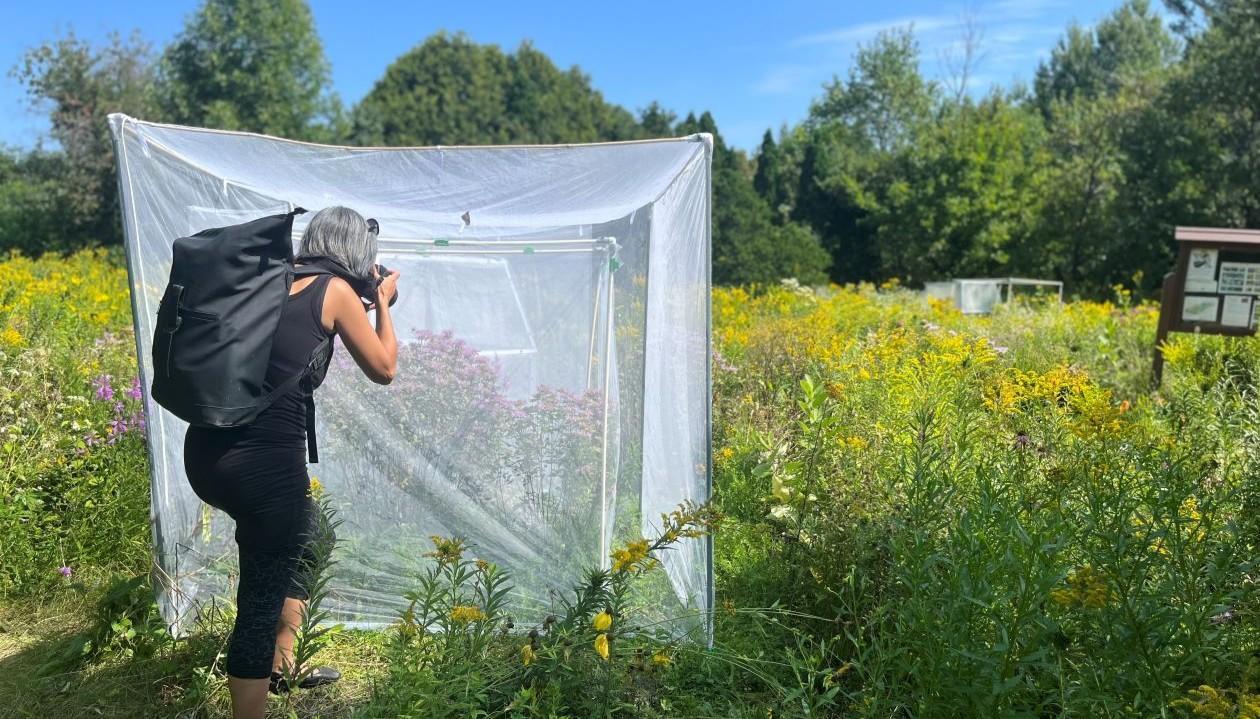 Researcher taking photos in nature