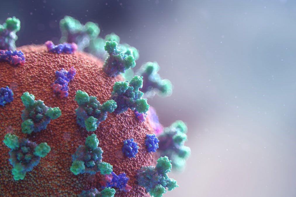 Covid-19 cell