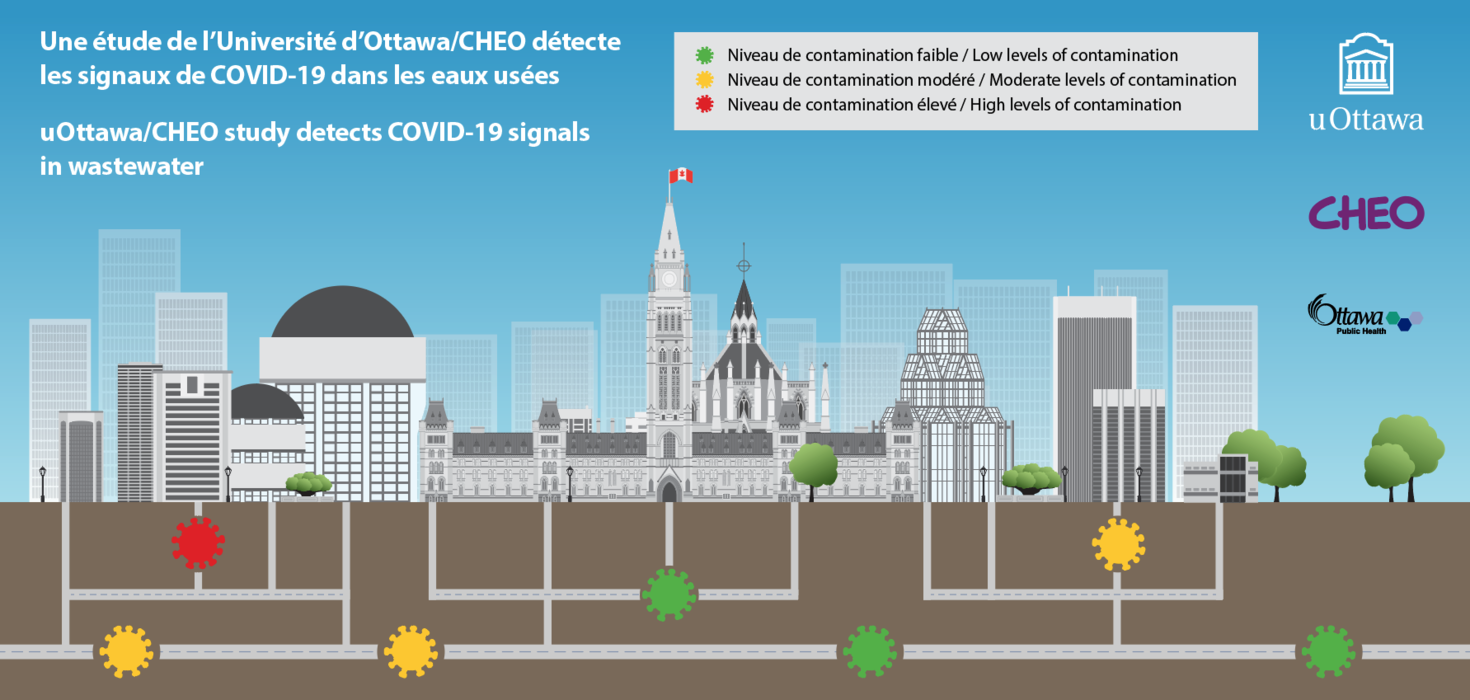 illustration of a cityscape and its sewer system