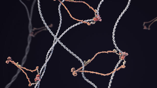 image microscopique d'un virus