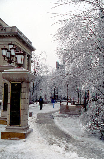 Des arbres recouverts de glace et le pavillon Tabaret.