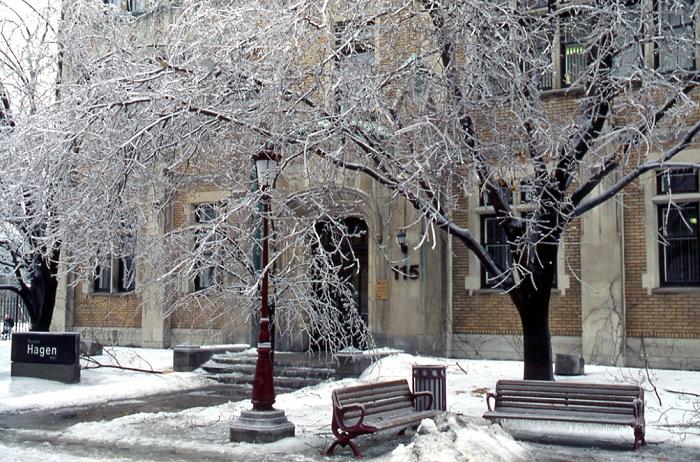 Arbres recouverts de glace devant le pavillon Hagen.