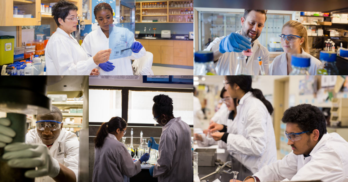 Collage photo de chercheurs issus de la diversité ethnique et de genre.